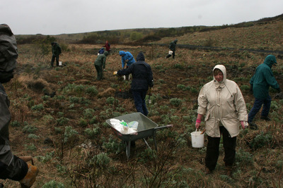 Hfj_skograektgg-32