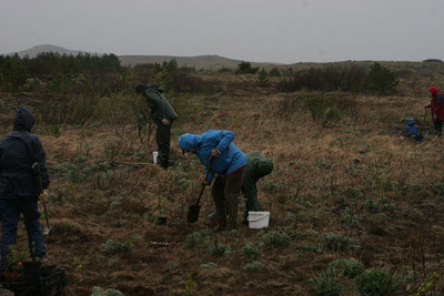 Hfj_skograektgg-33