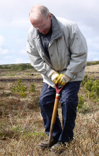 rot_skog_haraldur