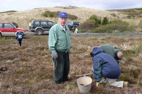 rot_skog_helgi