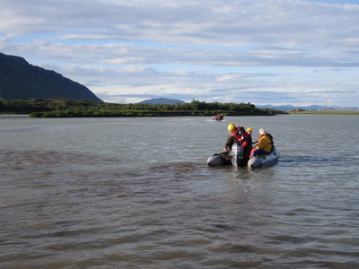 Í Laugardælaeyju 18.8.2011