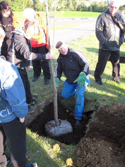 Gróðursetning í bæjargarðinum 28.8.12