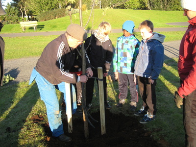 Gróðursetning í bæjargarðinum 28.8.12