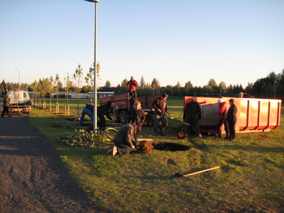 Gróðursetning í bæjargarðinum 28.8.12