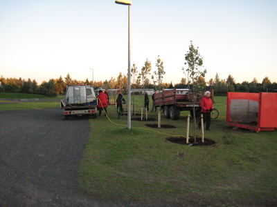 Gróðursetning í bæjargarðinum 28.8.12